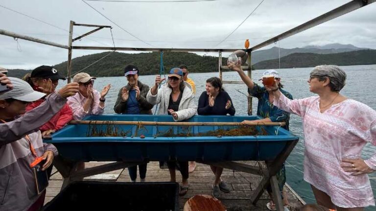 Turistas trocam roteiros tradicionais por viagens guiadas por chefs de cozinha