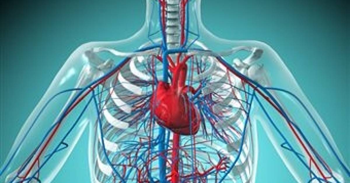 Avanço no diabetes: remédio que elimina açúcar pela urina traz proteção a rins e coração